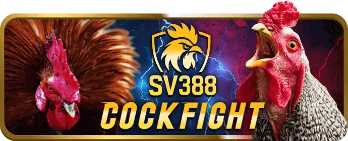 Ưu đãi chào mừng cho người chơi mới 13win21 code